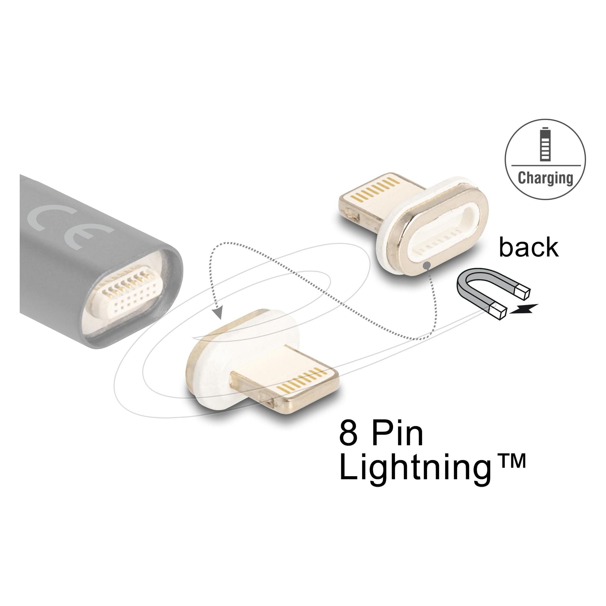 Delock Magnetischer Adapter 8 Pin Lightning Stecker (66574)