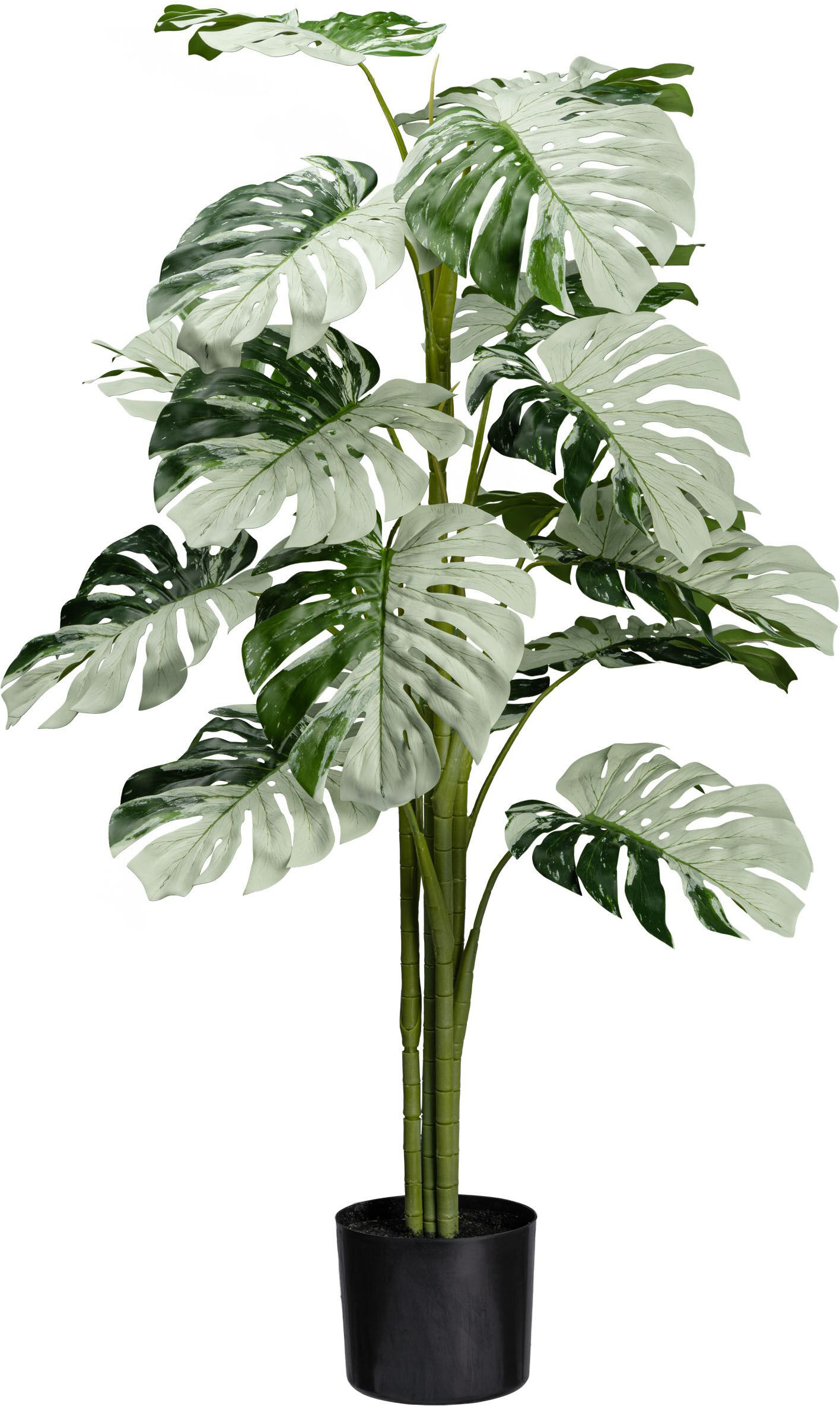 Künstliche Zimmerpflanze CREATIV GREEN "Monstera Variegata Halfmoon", grün, H:115cm, Kunstpflanzen, Künstliche Zimmerpflanze, mit außergewöhnlichem Blattwerk