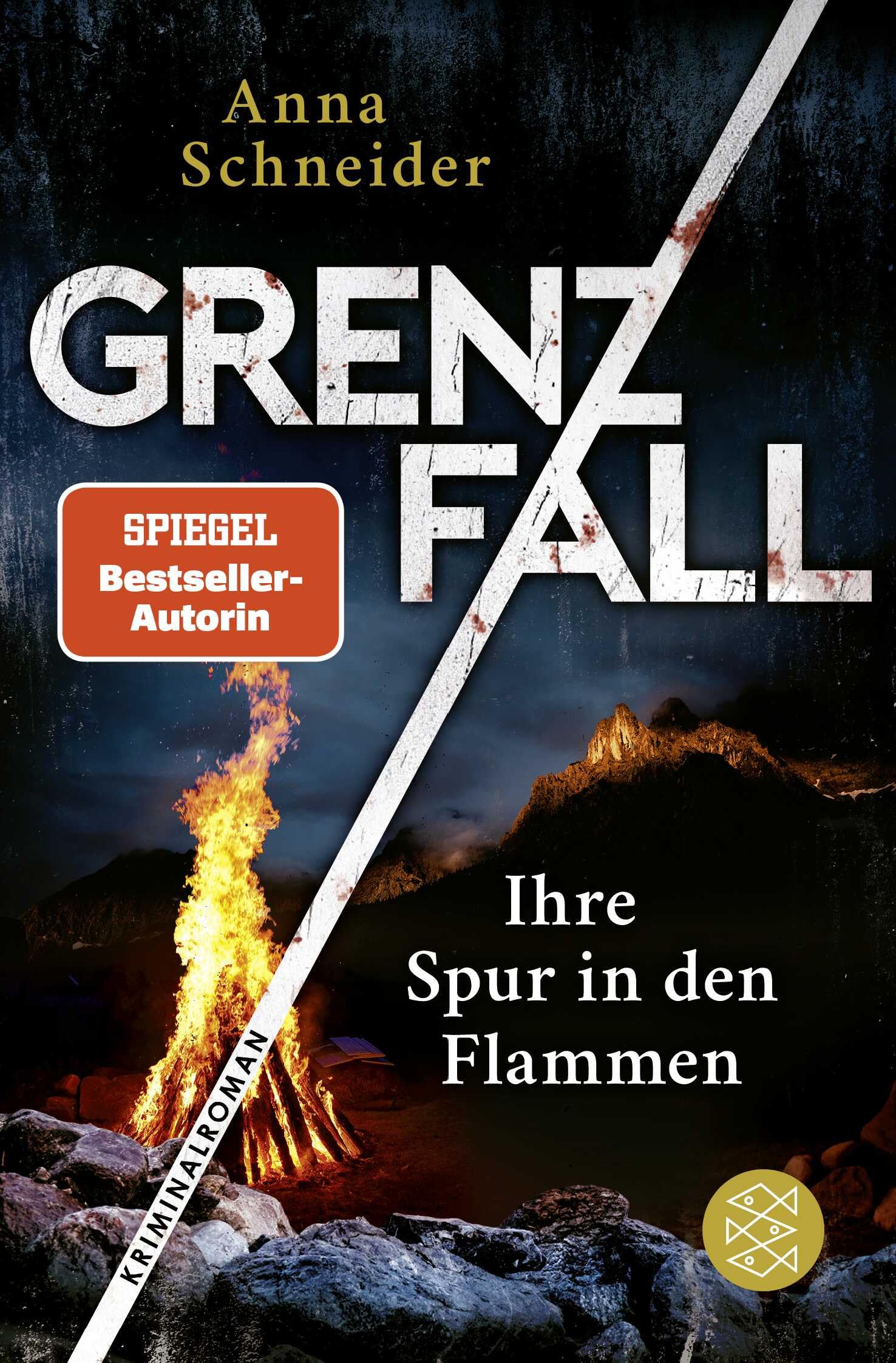 Anna Schneider - Grenzfall – Ihre Spur in den Flammen: Kriminalroman Die grenzüberschreitende Bestseller-Serie zwischen Deutschland & Österreich - Preis vom 19.10.2026 19:33:35 h