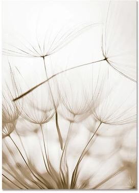 Inspired Living Nordic Coastal Canvas Wall Art Set Minimalist Beach Flower Prints For Modern Home Decor 20x30cm 1