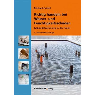 Richtig handeln bei Wasser- und Feuchtigkeitsschäden, Taschenbuch von Michael Grübel, Fraunhofer IRB, 978-3-7388-0613-7