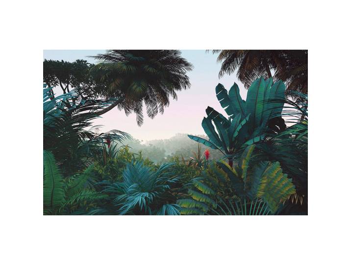 Komar Vliestapete, Mehrfarbig, Bäume, 400x250 cm, Fsc, Tapeten & Wandverkleidungen, Vliestapeten