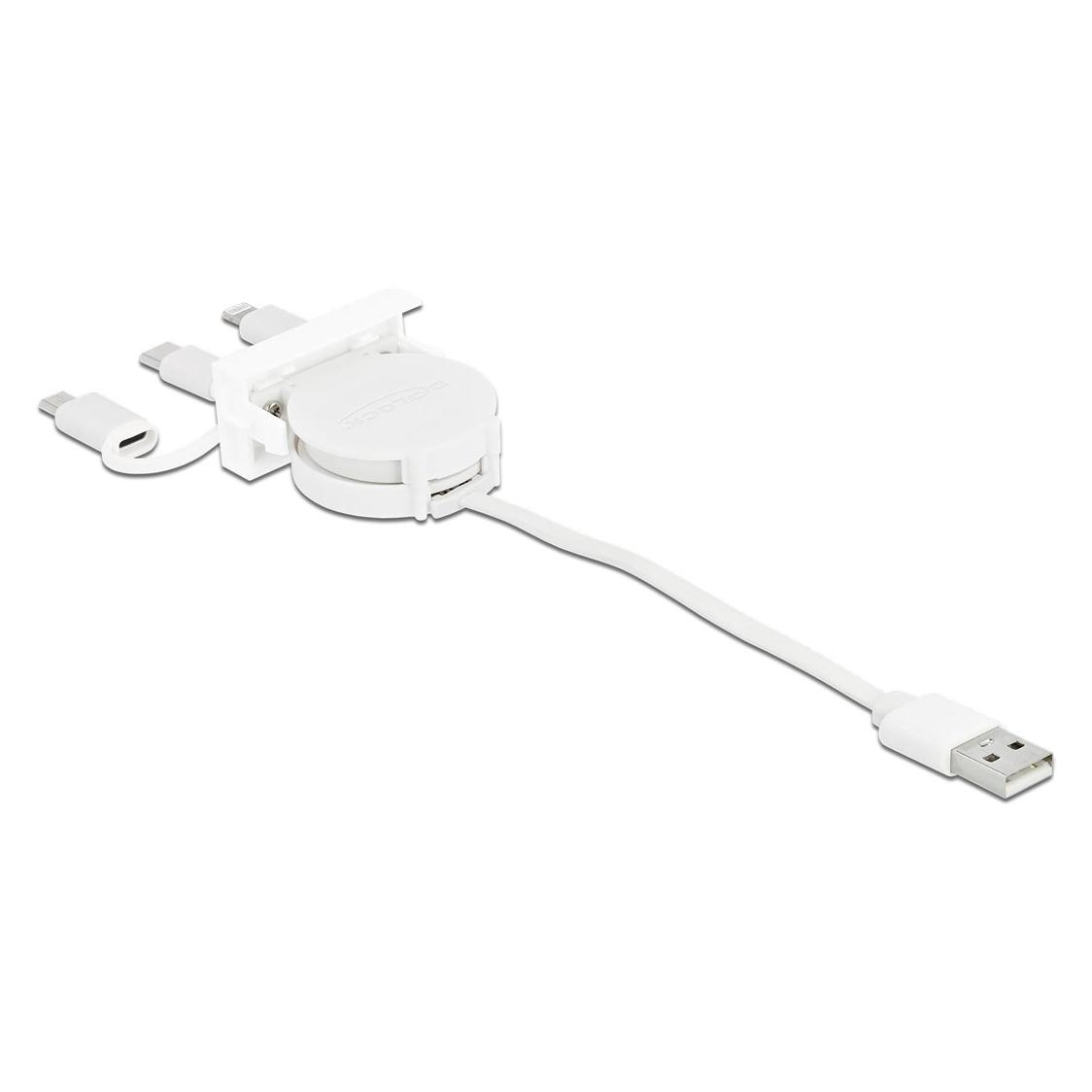 Delock 3in1 (0.50 m, USB 2.0) (81375)