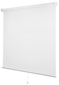 Chicology Cordless Blackout Window Roller Shade UV Protection