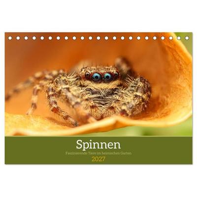Spinnen - Faszinierende Tiere im heimischen Garten (Tischkalender 2027 DIN A5 quer), CALVENDO Monatskalender