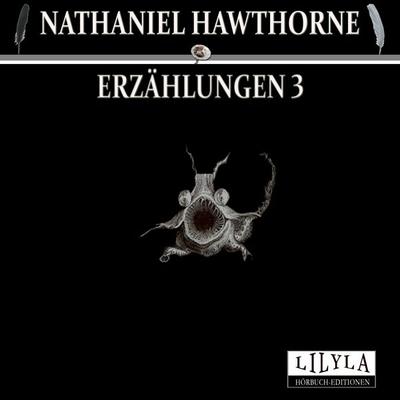 Erzählungen 3 - Nathaniel Hawthorne, Audio, 9783959896733