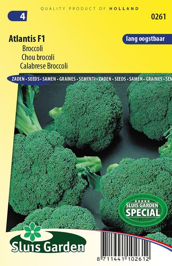 Sluis Garden Broccoli Atlantis F1 zaden