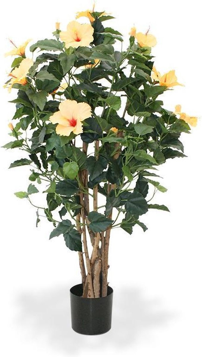 Hibiscus Deluxe zalm 100cm