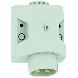 Bals Elektrotech. Kleinsp.-Wandgerätestecker 4616
