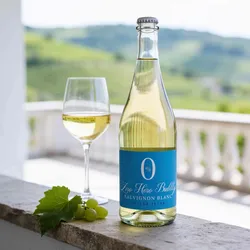 Oliver Zeter 2024 Oliver Zeter Bubbly Zero Hero Sauvignon Blanc entalkoholisiert 2024 Sauvignon Blanc Deutschland