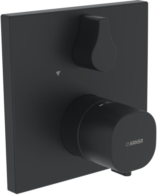 Hansa HANSABLUEBOX LIVING Ensemble prêt à poser mitigeur thermostatique douche, noir mat (8113956233)