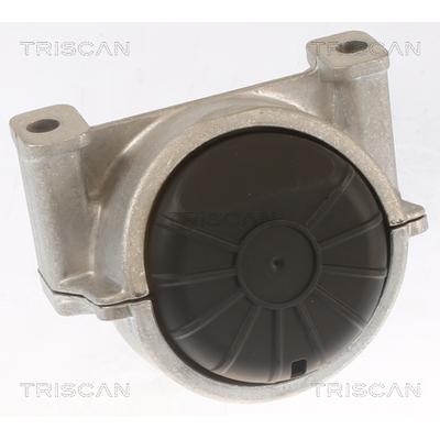 TRISCAN Lagerung, Motor 850529155 für Audi