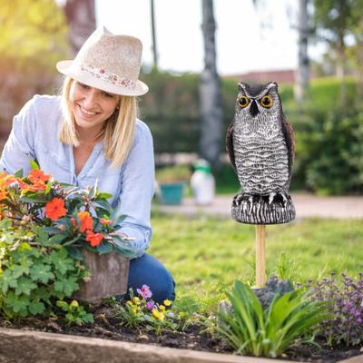Drop Dash Deals Owl Decoy Statue For Garden Protection Scare Birds, Pigeons, And Squirrels Away Owl Decoy Statue For Garden Protection Scare Birds, Pigeons, And Squirrels Away