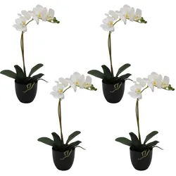 CREATIV green künstliche Pflanze Phalaenopsis, 45cm, "Real Touch" im 4er Set