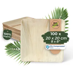 BIOZOYG 100 Stück Einwegteller 20x20cm Palmblatt-Teller, quadratisch, biologisch abbaubar, umweltfreundlich, kompostierbar, Wegwerfteller