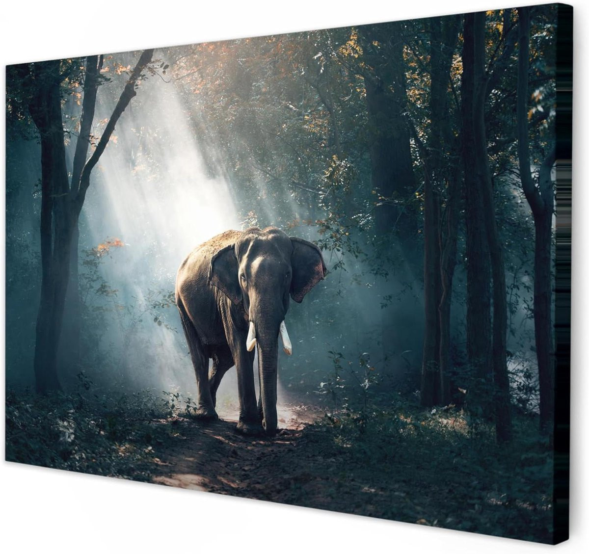 Canvas Schilderij Bos Olifant met Houten Frame - 30 x 20 cm