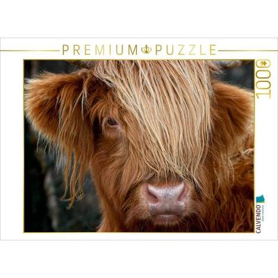 CALVENDO Puzzle Schottisches Hochland Rind, Highland Cattle | 1000 Teile Lege-Größe 64 × 48 cm Foto-Puzzle für glückliche Stunden