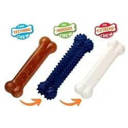 Nylabone Puppy Chew Puppy Starter Kit Chicken (Kauspielzeug Hund), Hundespielzeug