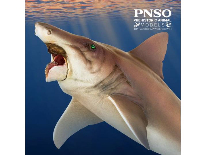 Modèles de dinosaures préhistoriques PNSO: 43 Haylee l'hélicoptère