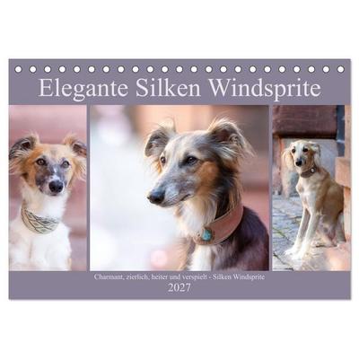 Elegante Silken Windsprite (Tischkalender 2027 DIN A5 quer), CALVENDO Monatskalender