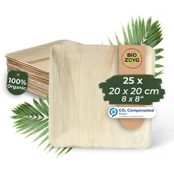 BIOZOYG 25 Stück Einwegteller 20x20cm Palmblatt-Teller, quadratisch, biologisch abbaubar, umweltfreundlich, kompostierbar, Wegwerfteller