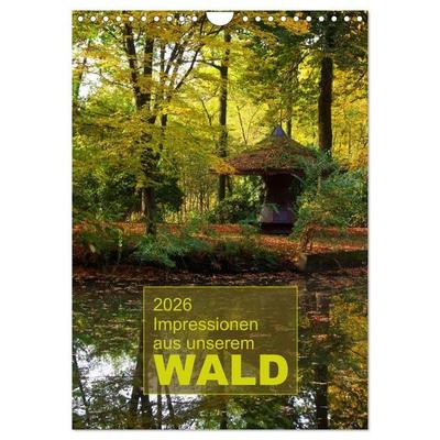 Impressionen aus unserem Wald (Wandkalender 2026 DIN A4 hoch), CALVENDO Monatskalender
