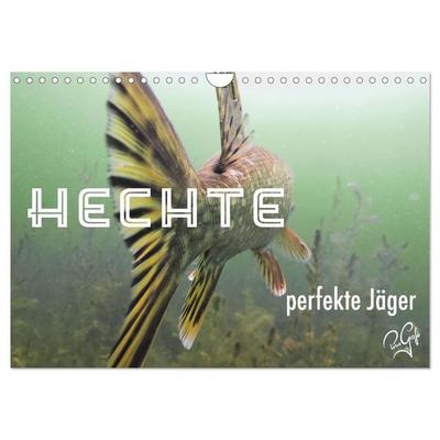 Hechte - perfekte Jäger (Wandkalender 2027 DIN A4 quer), CALVENDO Monatskalender