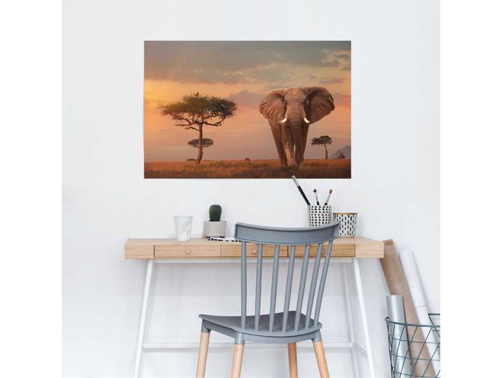 Affiche Faune sauvage d’Afrique Papier Marron 61 x 92 x 0cm