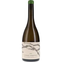 De Sousa et Fils Coteaux Champenois, Blanc AOC 2020 BIO