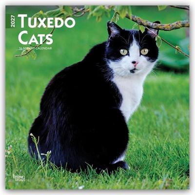 Tuxedo Cats – Tuxedo Katzen 2027 – 16-Monatskalender