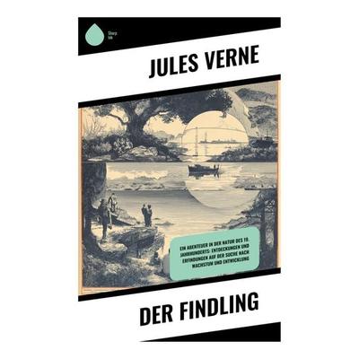 Der Findling, Taschenbuch von Jules Verne, Copycat, 978-80-283-9891-0