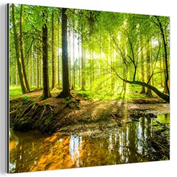 METALLBILD Wald - Landschaft - Wasser - Bäume - Sonne - Grün - Natur 40x30 cm