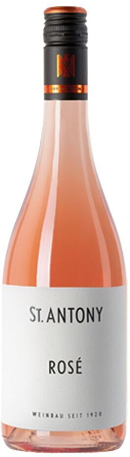 Pinot Noir Rosé QbA 2025 St. Antony