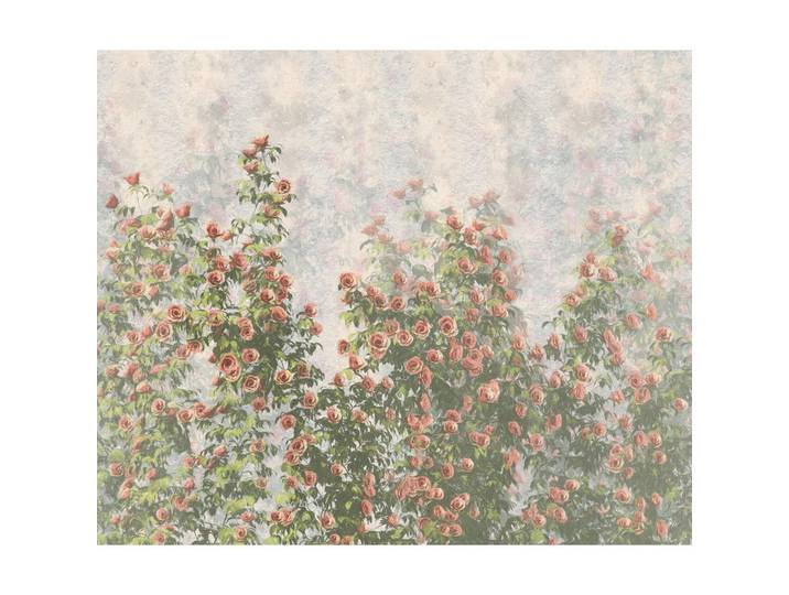 Komar Vliestapete, Mehrfarbig, Rose, 300x250 cm, Fsc, Tapeten & Wandverkleidungen, Vliestapeten