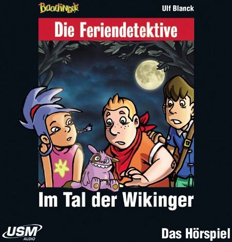 die Feriendetektive - Im Tal der Wikinger (09) - Preis vom 07.10.2026 11:45:10 h