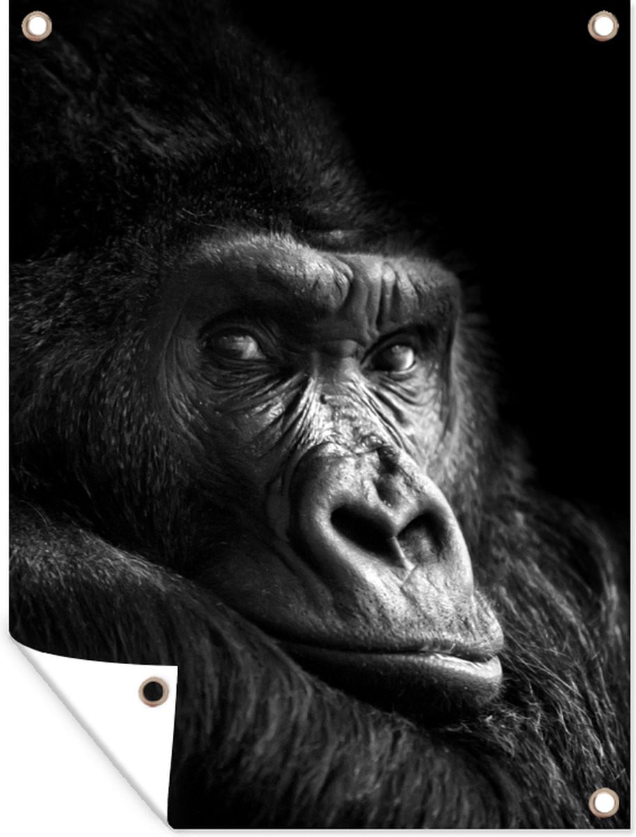 Tuindecoratie Gorilla Aap Poster - Zwart en Wit - 30 x 40 cm