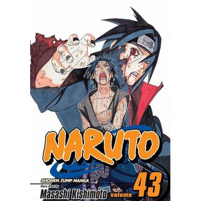 Naruto, Vol. 43, Taschenbuch von Masashi Kishimoto, KNV Besorgung, 978-1-4215-2929-5