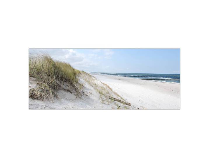 Floatglasbild Sommertag III Floatglas Multicolor 80 x 30 x 1cm