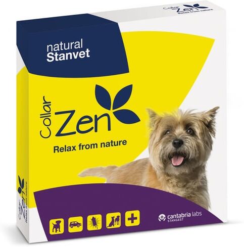 Stangest Collar Zen Para Perros