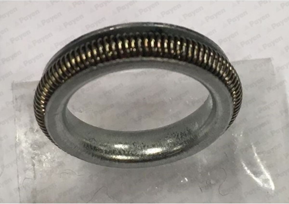 Dichtring PAYEN KK5742