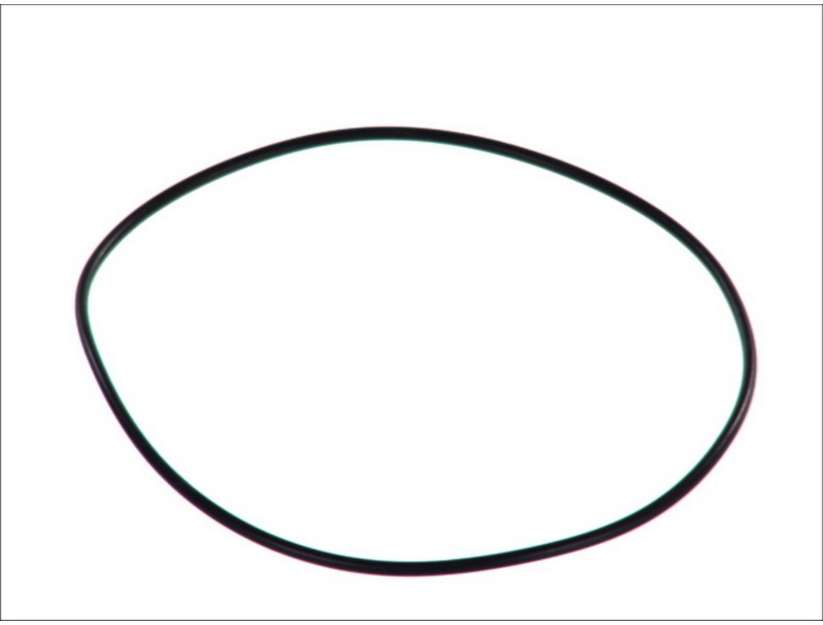 Euroricambi O-ring, cambio manuale 95531578