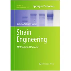 Strain Engineering, Fachbücher