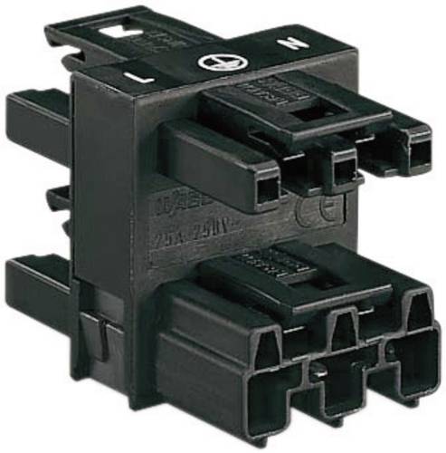 WAGO Netz-Verteiler Netz-Stecker - Netz-Buchse, Netz-Buchse, Netz-Buchse Gesamtpolzahl: 2 + PE Schwarz 1St.
