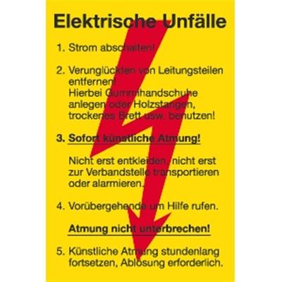 Schild Elektrische Unfälle, Kunststoff, 200x300 mm