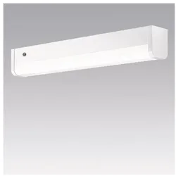 Zumtobel Lighting, Bilderleuchte + Spiegelleuchte, Thorn Eco SPIEGELLEUCHTE 1200 930/35/40 (ELSA VARIOFLEX 600) (1200 lm)
