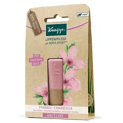 KNEIPP Lippenpflege Hautzart Mandel Candelilla 1 St