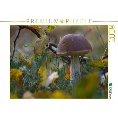 CALVENDO Puzzle Birkenpilz bot. Leccinum scabrum | 2000 Teile Lege-Größe 90x67cm Foto-Puzzle für glückliche Stunden, Sonstige von , Calvendo Puzzle
