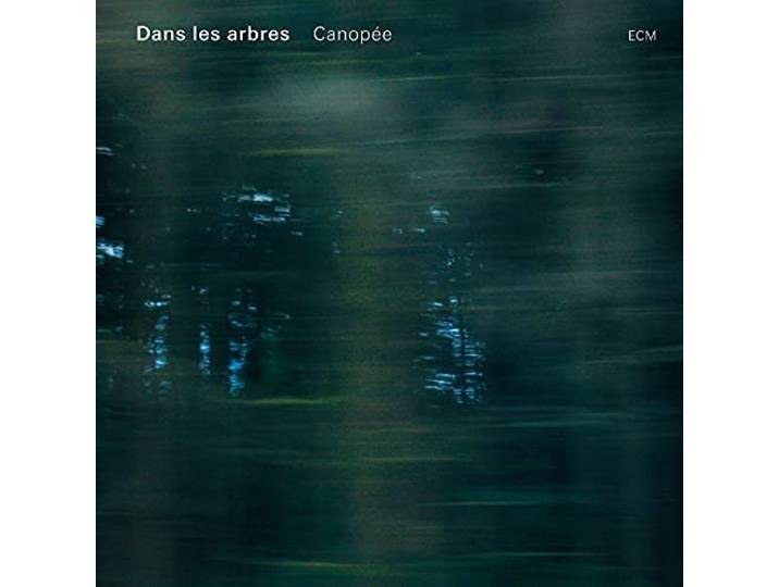 Dans Les Arbres - Canopee
