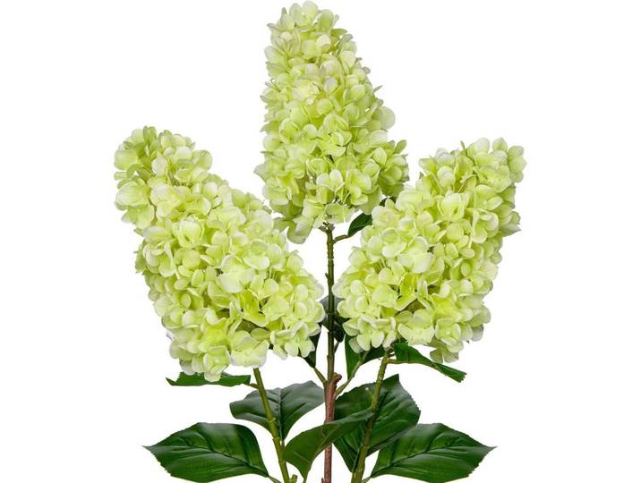 Kunstblume 3er Set Hortensie 73Cm, Grün, Kunststoff, 73 cm, Dekoration, Blumen & Blumentöpfe, Kunstblumen