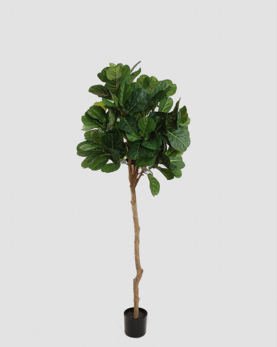 Kunstplant Ficus Lyrata Groen - Hoogte: 180 cm